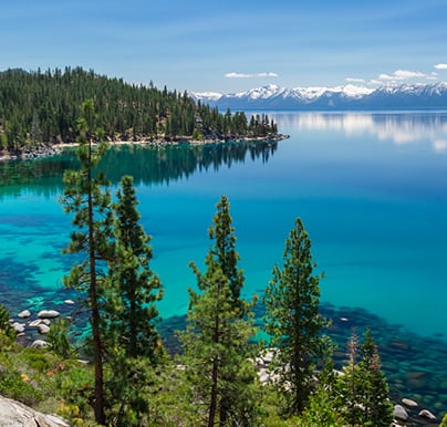 Thing To Do Walkable to Lake Rentals